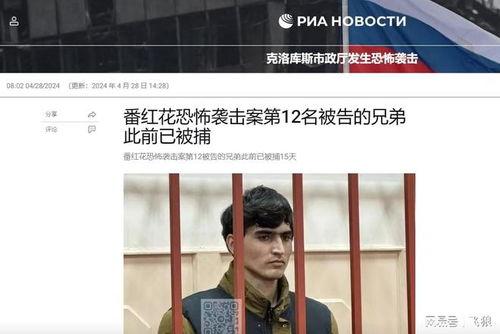 俄罗斯爆料黑料事件视频,视频事件背后的真相与争议