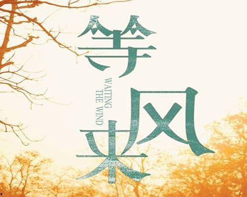 等风来在线观看,一场关于成长与梦想的青春盛宴 第3张 等风来在线观看,一场关于成长与梦想的青春盛宴 第3张